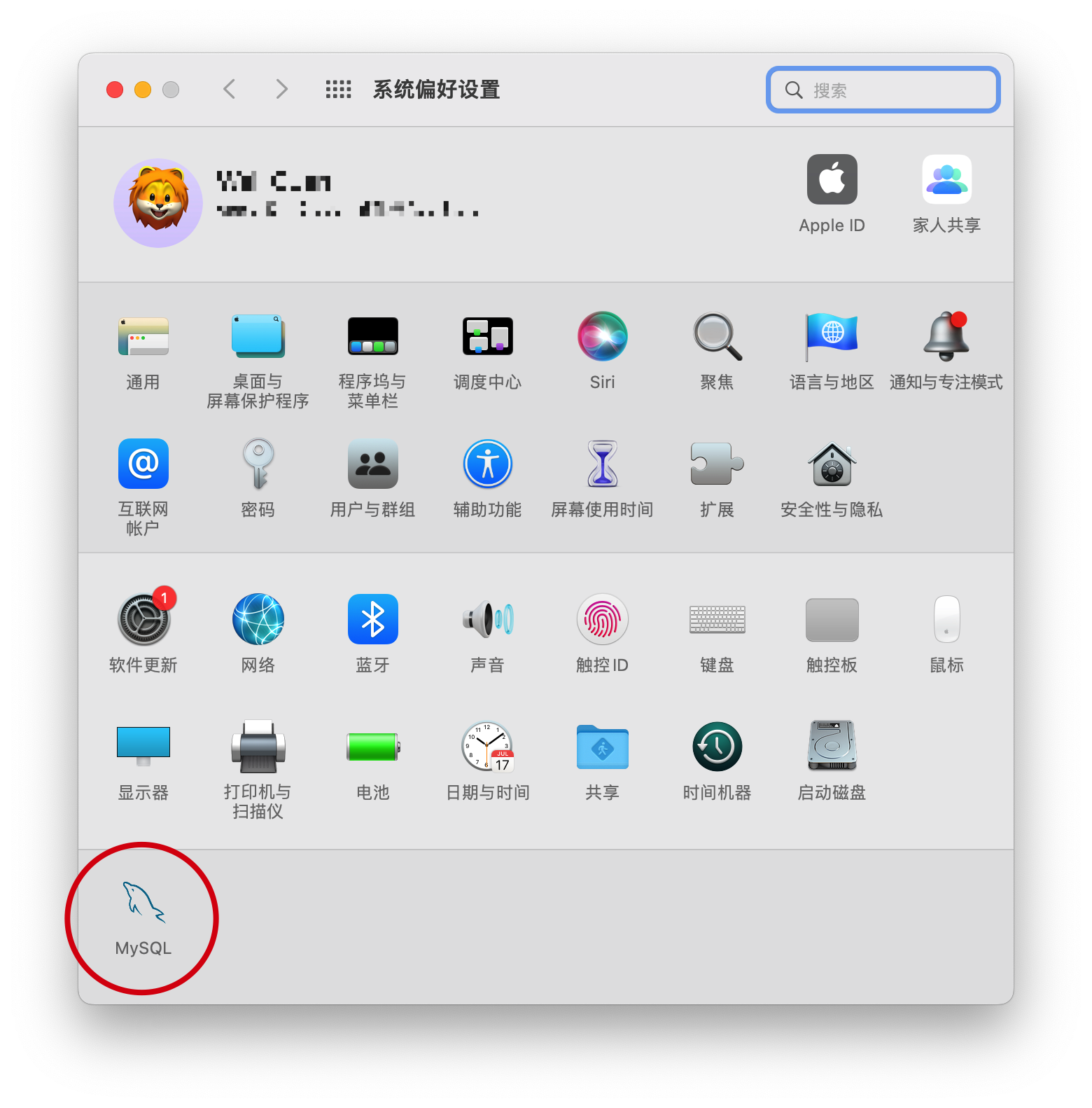mac-setting-mysql