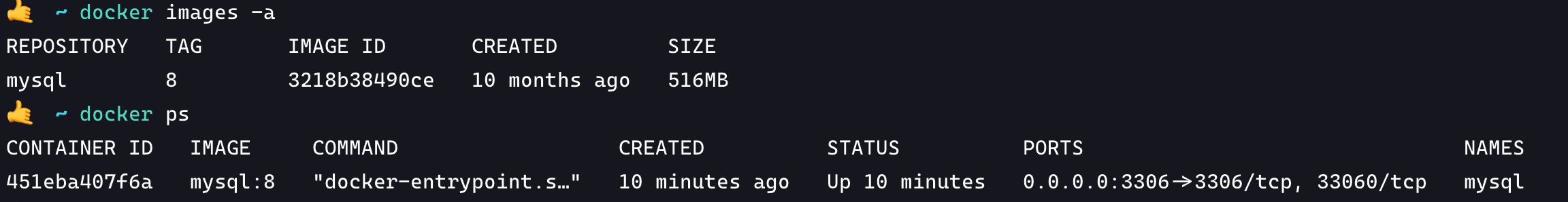 docker-mysql-info